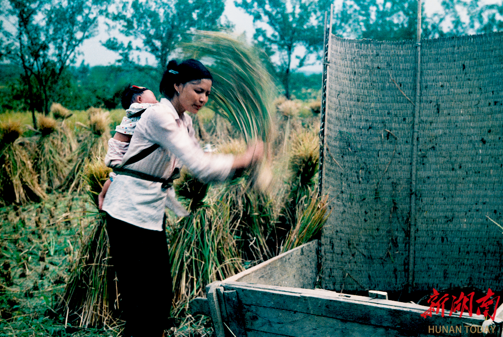 视频｜“邻居”的一封“家书”：湘西收到来自四川的“光影礼物”