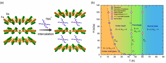 中科大超导研究团队在铁基高温超导体研究中取得重要进展