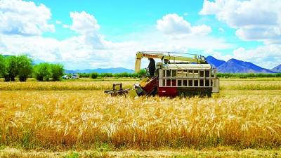 【深入学习贯彻党的二十届三中全会精神·中国式现代化】“温饱粮